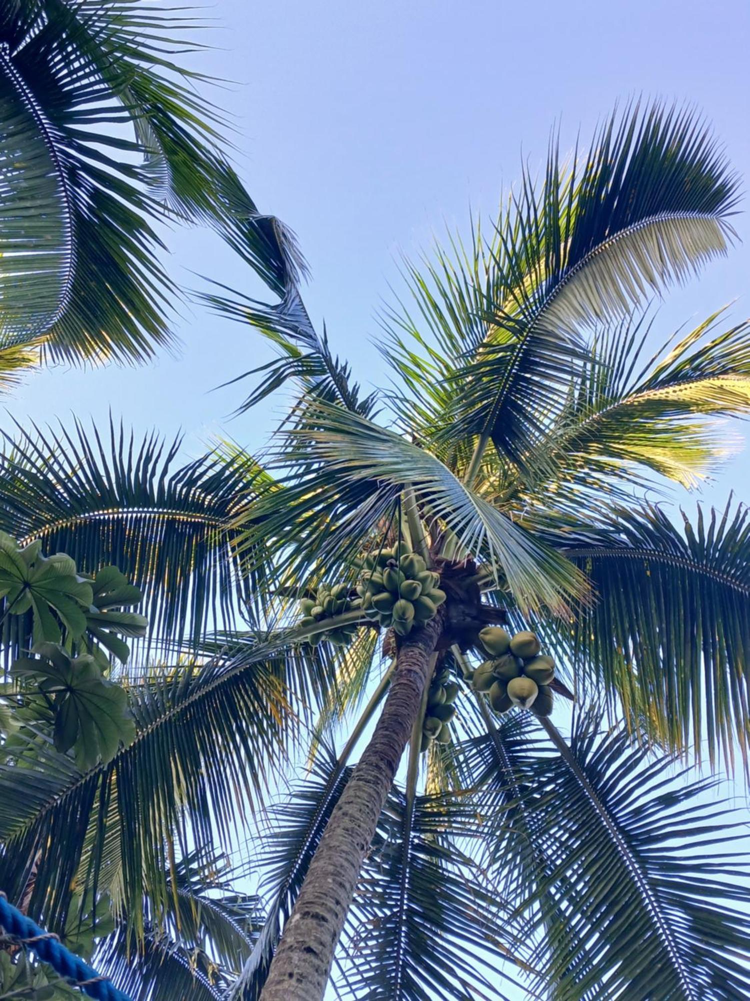 Ubatuba Wild Surf Hostel ภายนอก รูปภาพ
